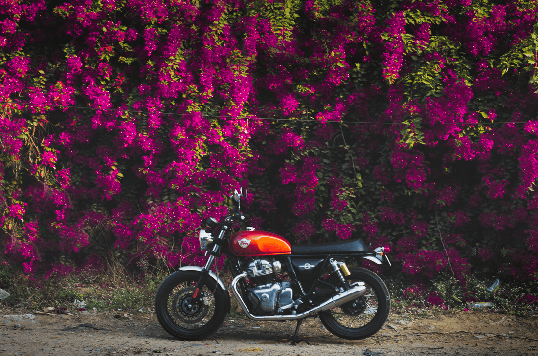 Race Ahead with the Best Aftermarket Exhaust Systems for your Bike - Barrel Exhaust