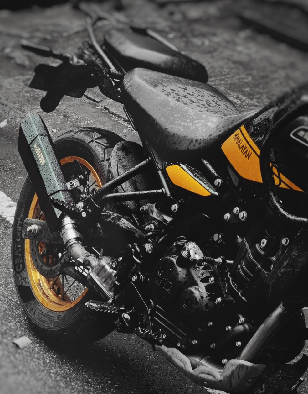 Barrel Rogue 2.0 for Himalayan 450 with link pipe