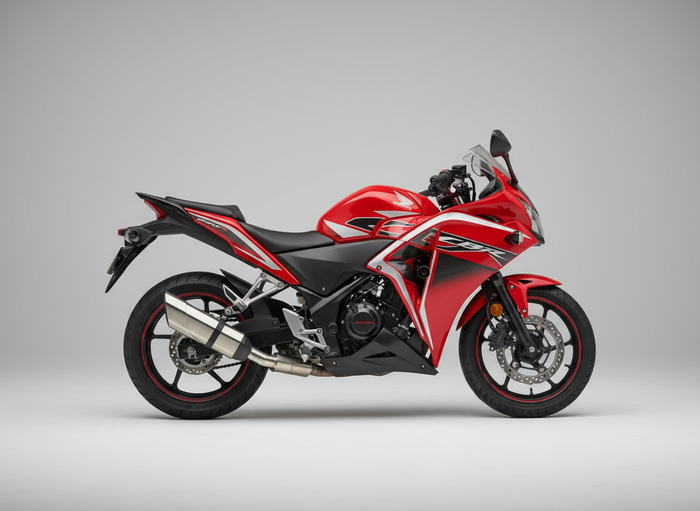 Rogue 2.0 for Honda CBR 250R with link pipe