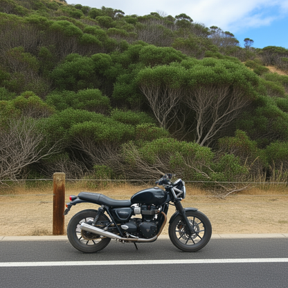B Twinn exhaust for Triumph Street Twin 900