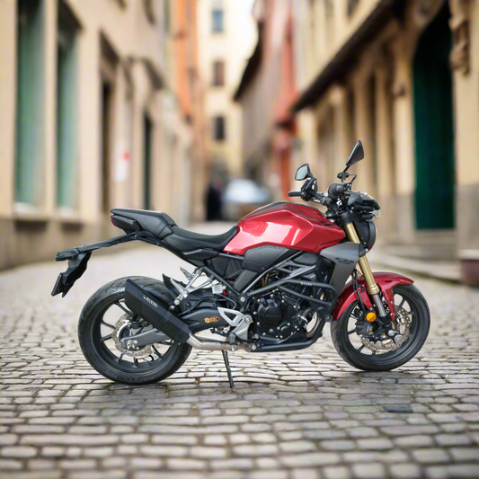 Rogue 2.0 for Honda CB 300R with link pipe